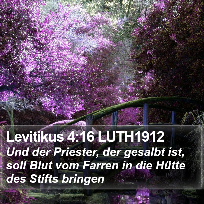 Levitikus 4:16 LUTH1912 Bible Study