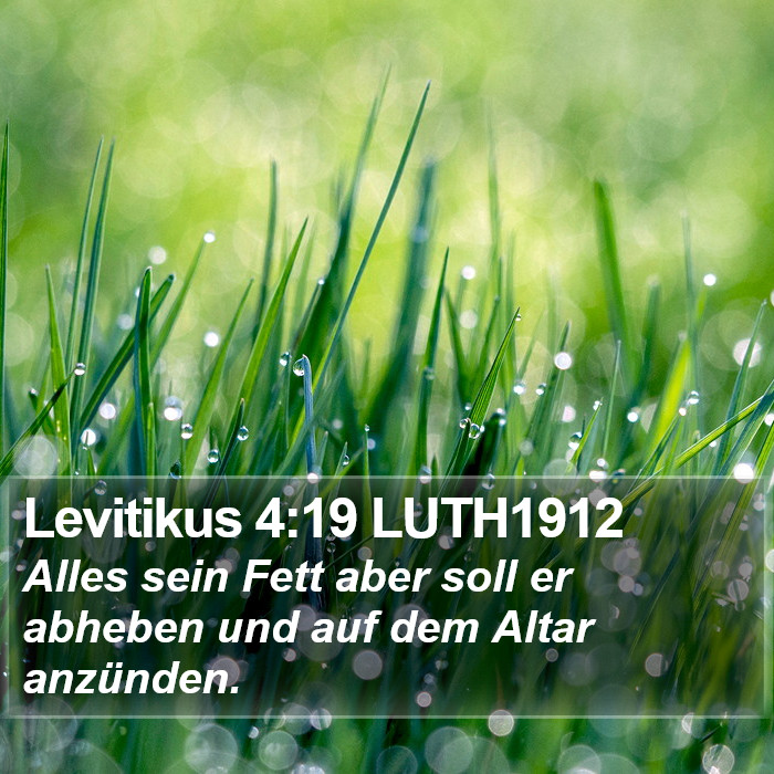 Levitikus 4:19 LUTH1912 Bible Study