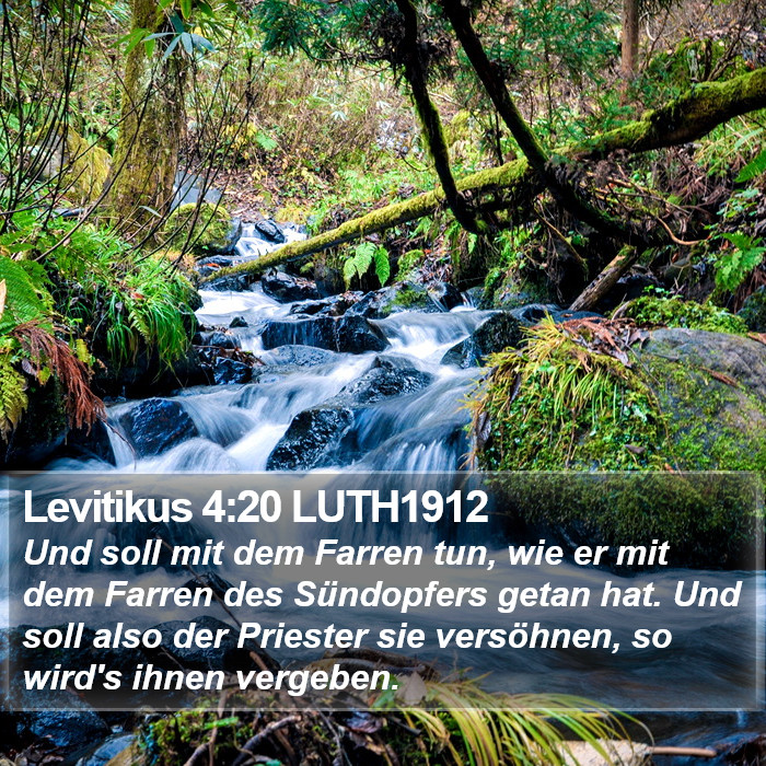 Levitikus 4:20 LUTH1912 Bible Study