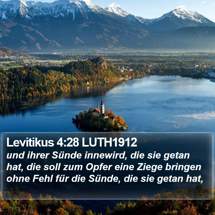 Levitikus 4:28 LUTH1912 Bible Study