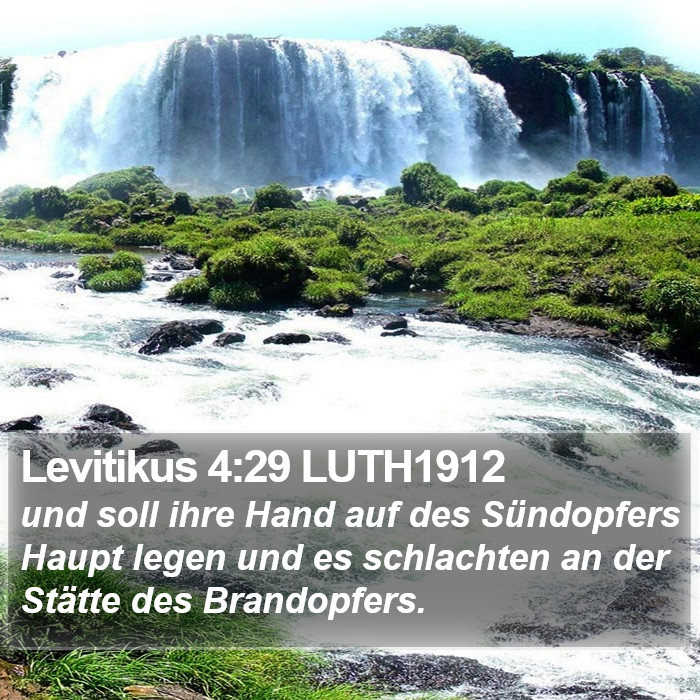 Levitikus 4:29 LUTH1912 Bible Study