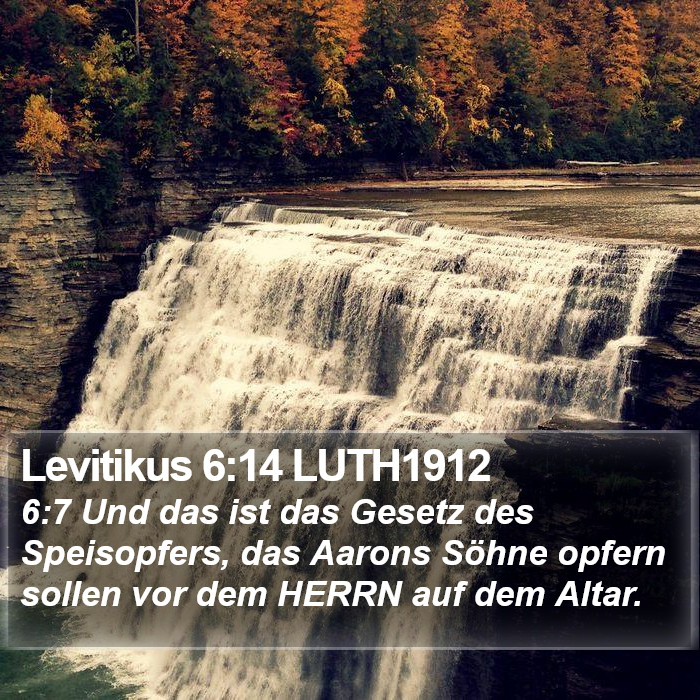 Levitikus 6:14 LUTH1912 Bible Study