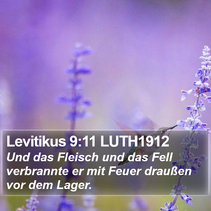 Levitikus 9:11 LUTH1912 Bible Study