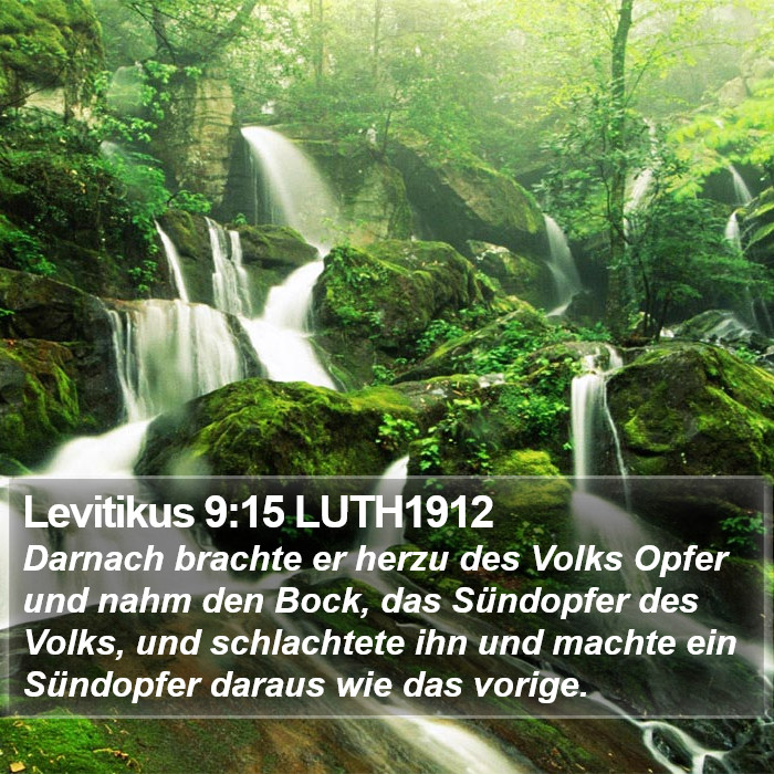 Levitikus 9:15 LUTH1912 Bible Study