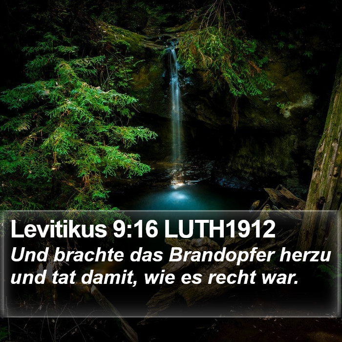 Levitikus 9:16 LUTH1912 Bible Study