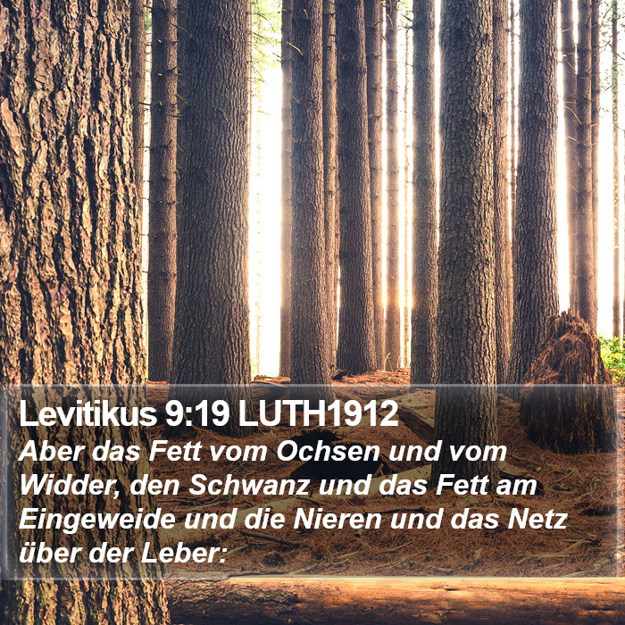 Levitikus 9:19 LUTH1912 Bible Study