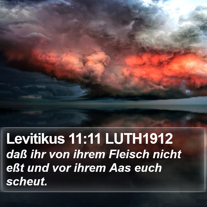 Levitikus 11:11 LUTH1912 Bible Study