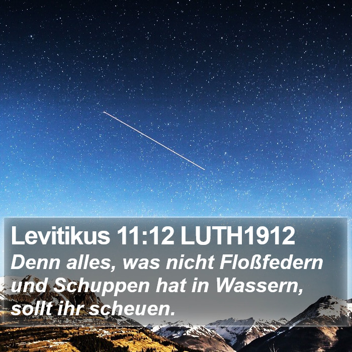 Levitikus 11:12 LUTH1912 Bible Study