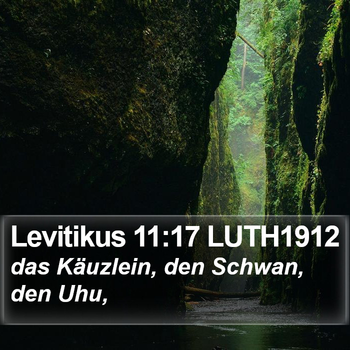 Levitikus 11:17 LUTH1912 Bible Study