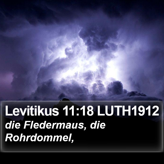 Levitikus 11:18 LUTH1912 Bible Study