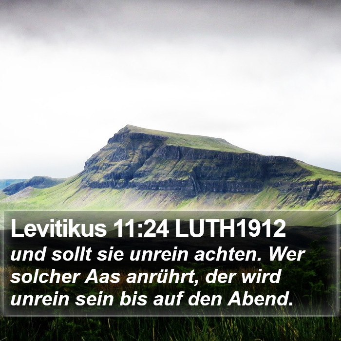 Levitikus 11:24 LUTH1912 Bible Study