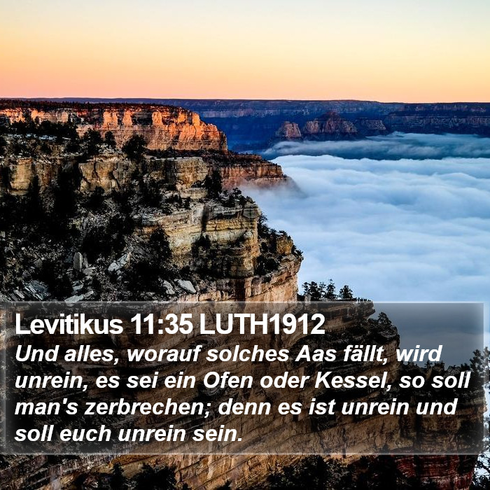 Levitikus 11:35 LUTH1912 Bible Study