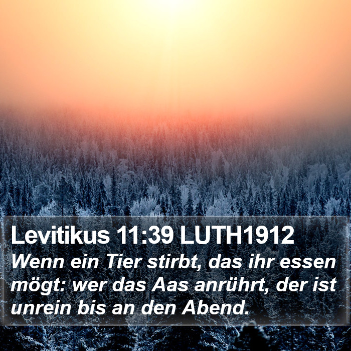 Levitikus 11:39 LUTH1912 Bible Study