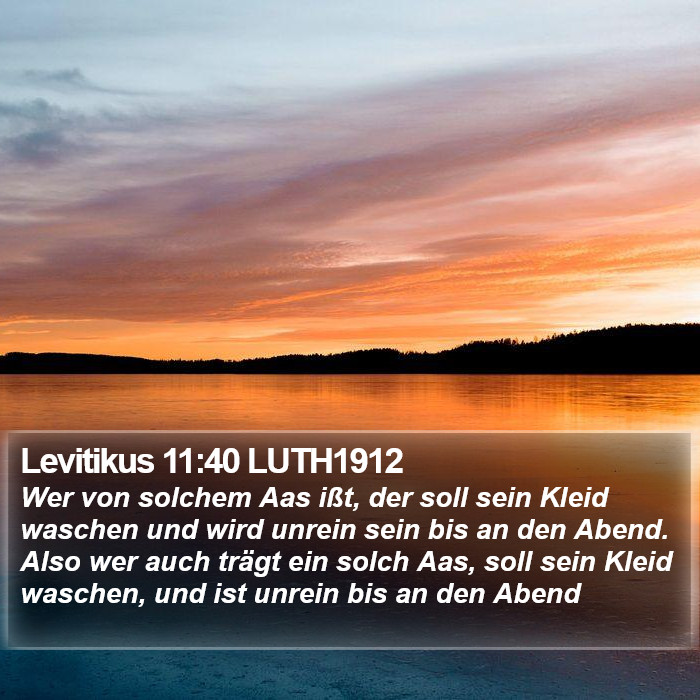 Levitikus 11:40 LUTH1912 Bible Study