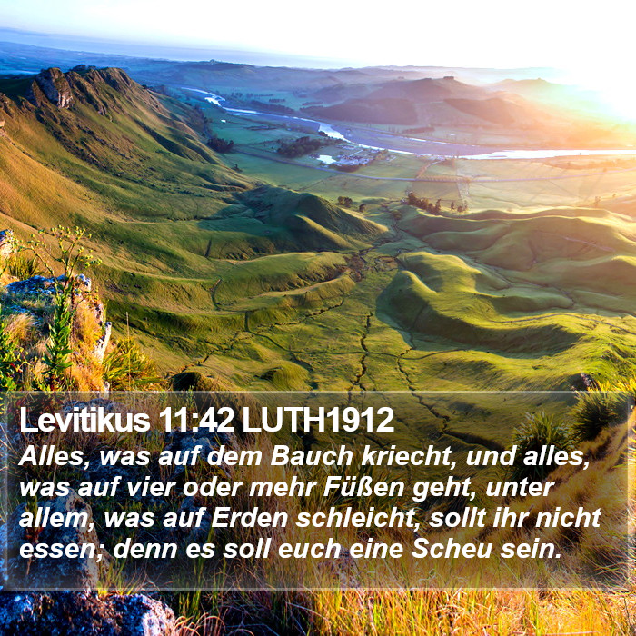 Levitikus 11:42 LUTH1912 Bible Study