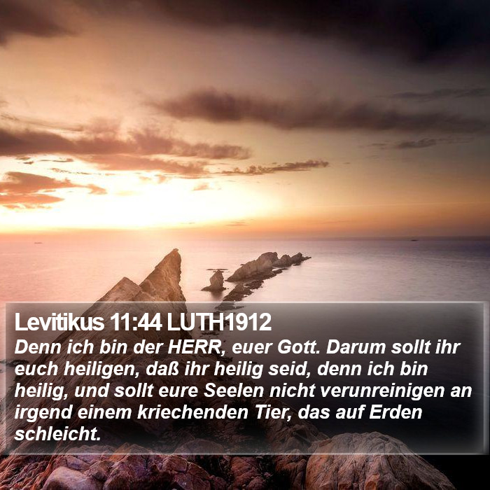 Levitikus 11:44 LUTH1912 Bible Study