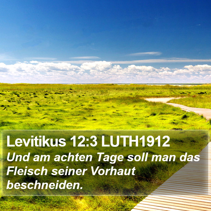 Levitikus 12:3 LUTH1912 Bible Study