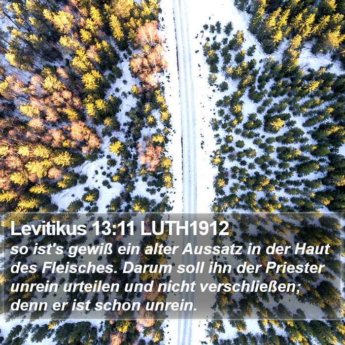 Levitikus 13:11 LUTH1912 Bible Study