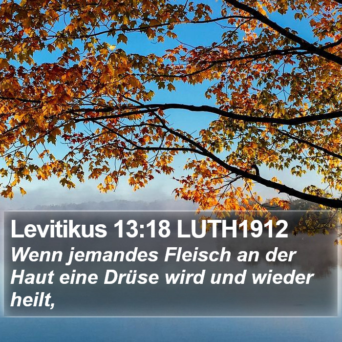 Levitikus 13:18 LUTH1912 Bible Study