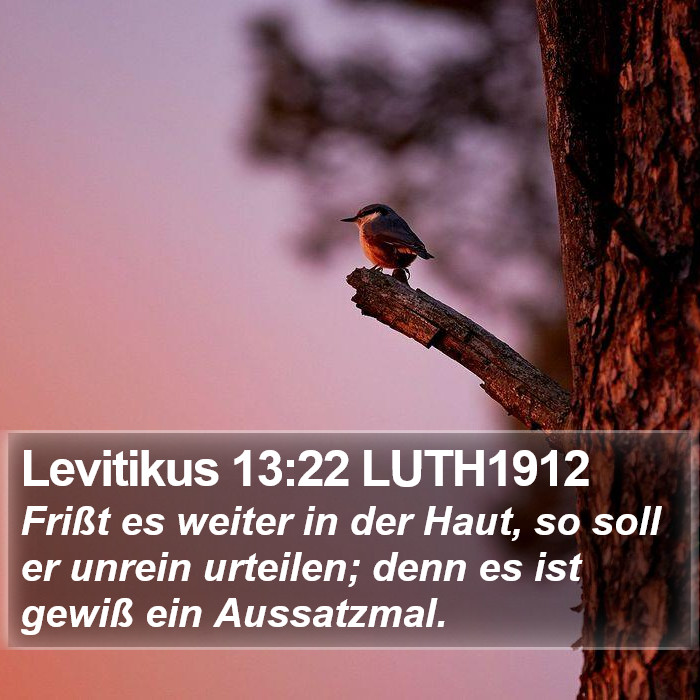 Levitikus 13:22 LUTH1912 Bible Study