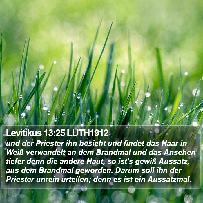 Levitikus 13:25 LUTH1912 Bible Study