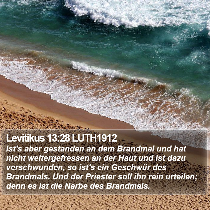 Levitikus 13:28 LUTH1912 Bible Study