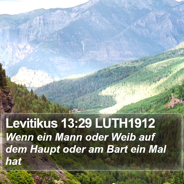 Levitikus 13:29 LUTH1912 Bible Study
