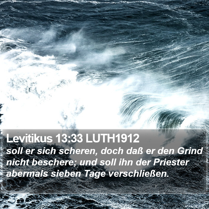 Levitikus 13:33 LUTH1912 Bible Study