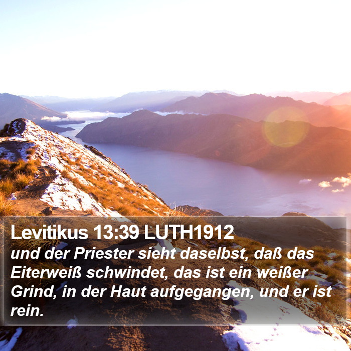 Levitikus 13:39 LUTH1912 Bible Study