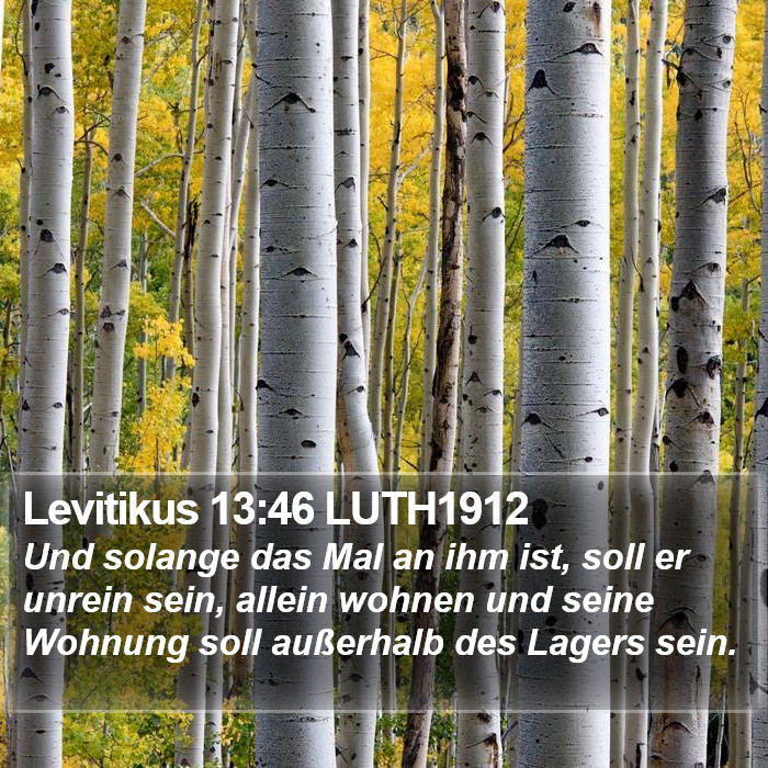 Levitikus 13:46 LUTH1912 Bible Study