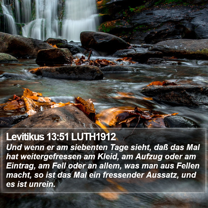 Levitikus 13:51 LUTH1912 Bible Study