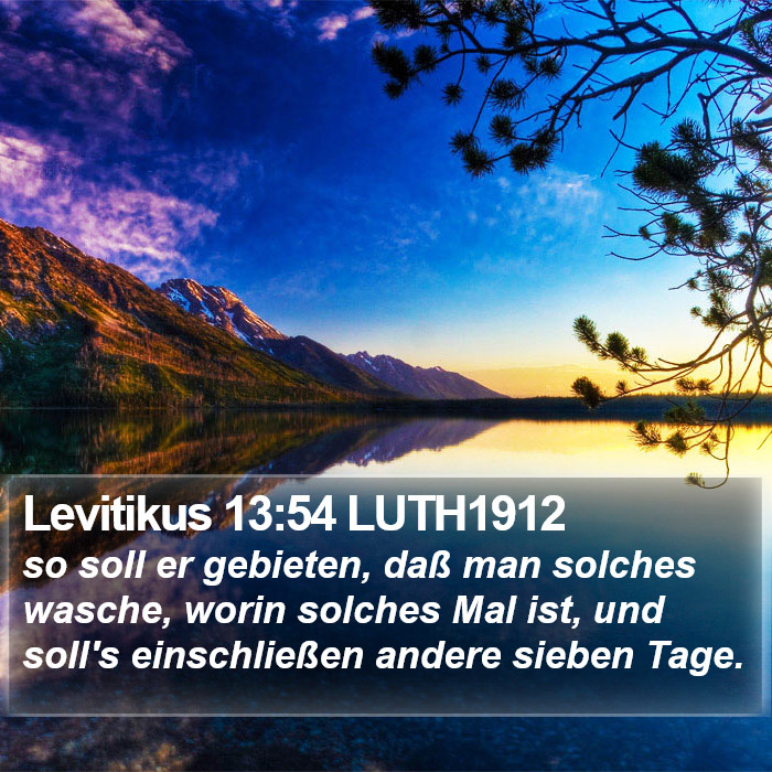 Levitikus 13:54 LUTH1912 Bible Study