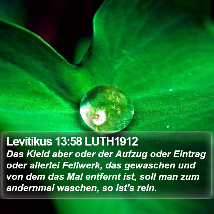 Levitikus 13:58 LUTH1912 Bible Study