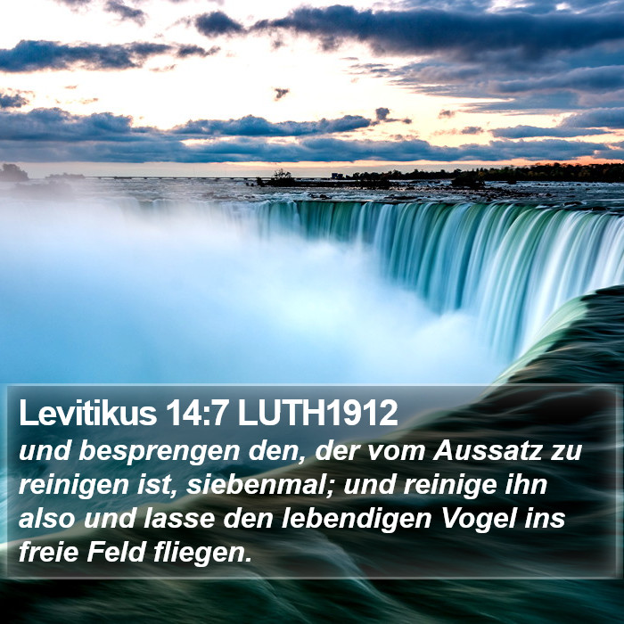 Levitikus 14:7 LUTH1912 Bible Study