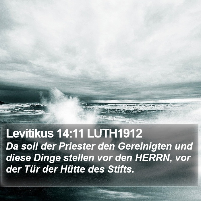 Levitikus 14:11 LUTH1912 Bible Study