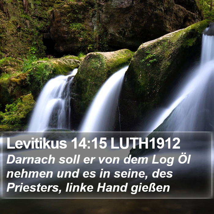 Levitikus 14:15 LUTH1912 Bible Study