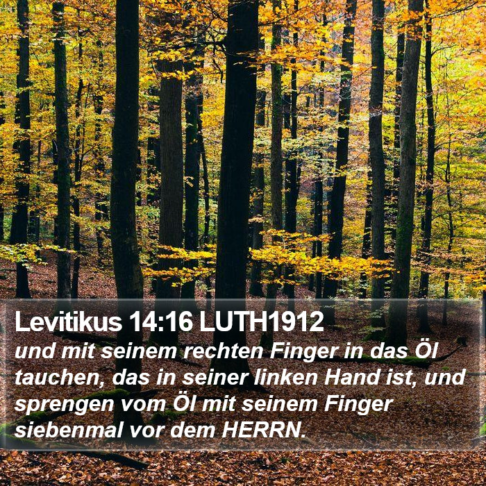 Levitikus 14:16 LUTH1912 Bible Study