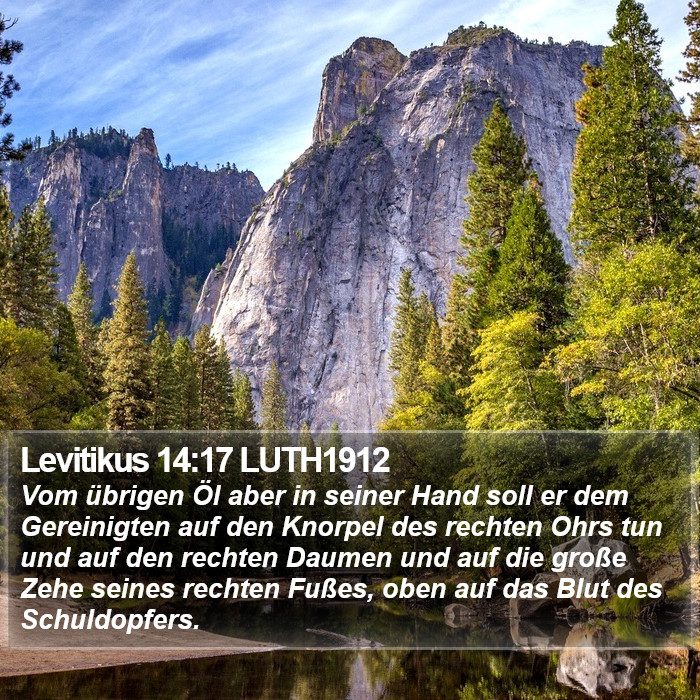 Levitikus 14:17 LUTH1912 Bible Study