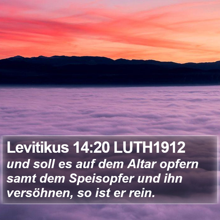 Levitikus 14:20 LUTH1912 Bible Study