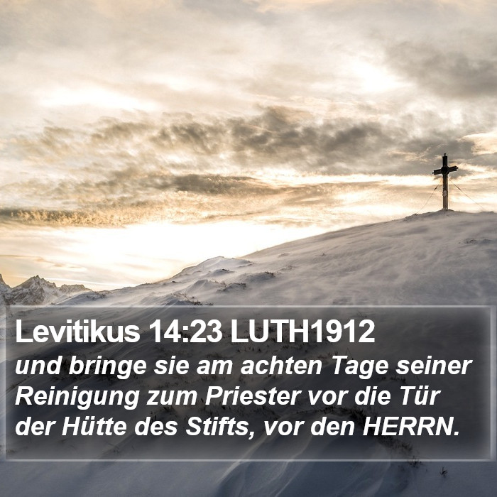 Levitikus 14:23 LUTH1912 Bible Study