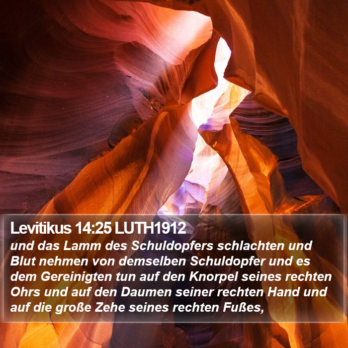 Levitikus 14:25 LUTH1912 Bible Study