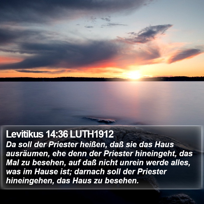 Levitikus 14:36 LUTH1912 Bible Study