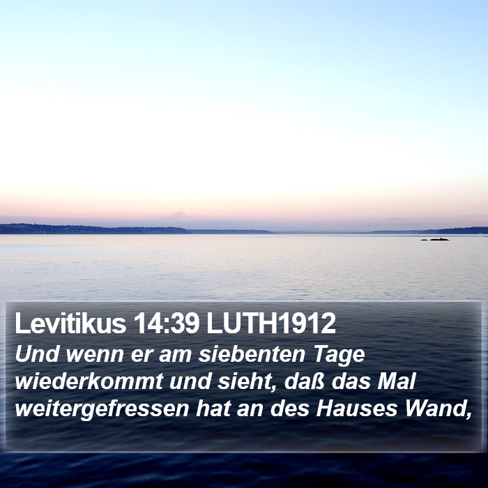 Levitikus 14:39 LUTH1912 Bible Study