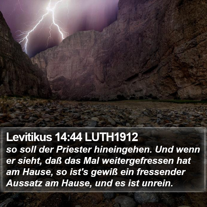 Levitikus 14:44 LUTH1912 Bible Study