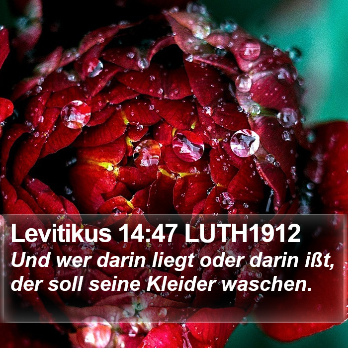 Levitikus 14:47 LUTH1912 Bible Study