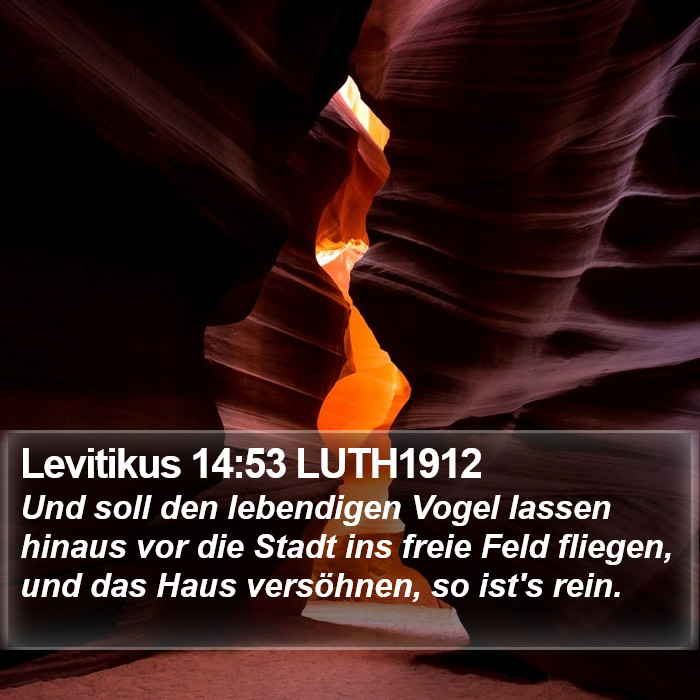 Levitikus 14:53 LUTH1912 Bible Study