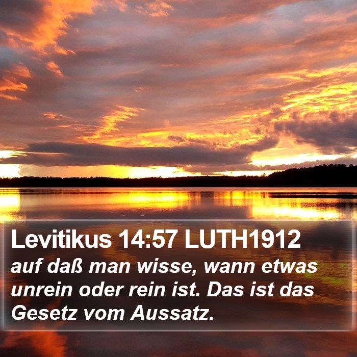 Levitikus 14:57 LUTH1912 Bible Study