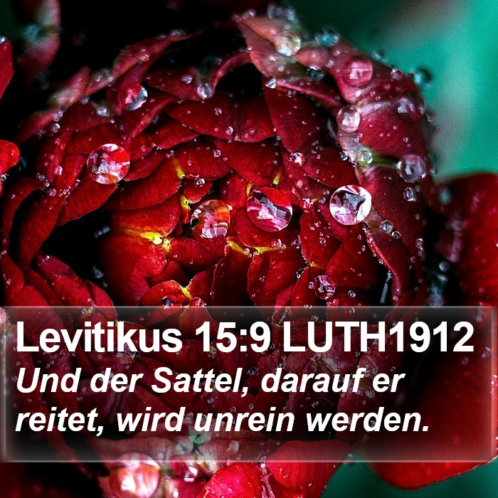 Levitikus 15:9 LUTH1912 Bible Study