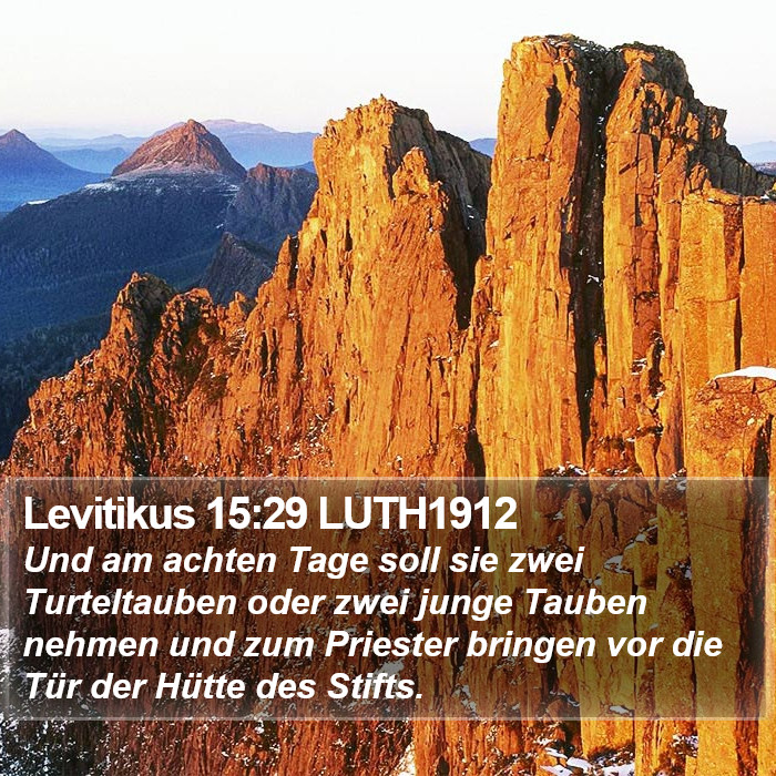 Levitikus 15:29 LUTH1912 Bible Study