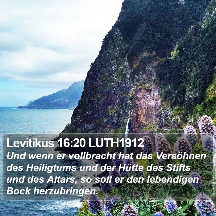 Levitikus 16:20 LUTH1912 Bible Study